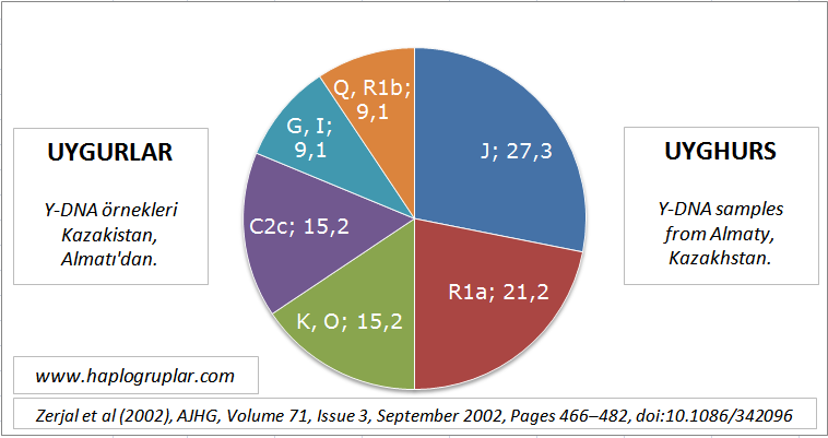 Гаплогруппы казахов. Гаплогруппа чувашей. Татарские гаплогруппы. Гаплогруппа киргизов. Днк гаплогруппы крымских татар.