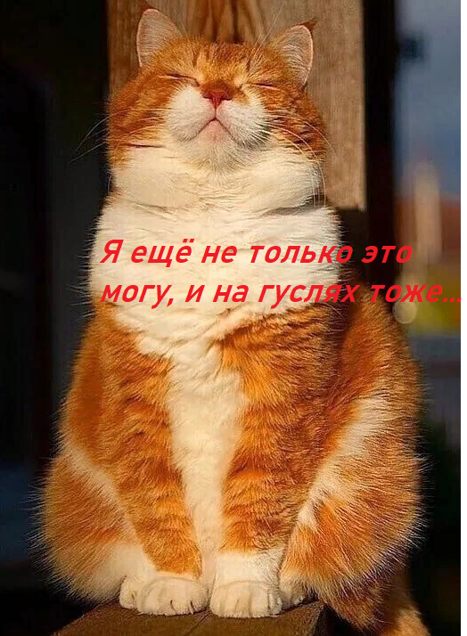 Источник фото - Одноклассники (Ред)