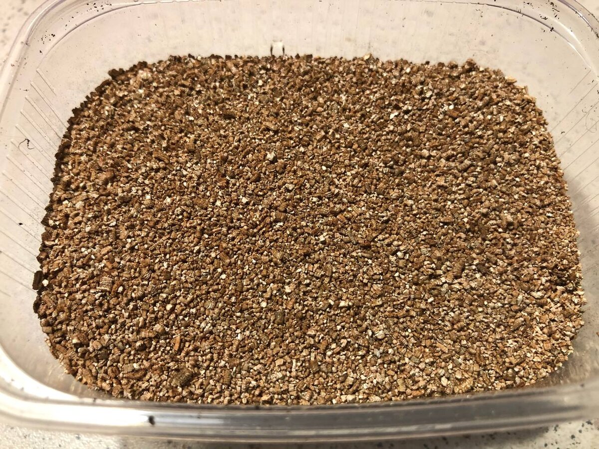 Вермикулит недорогой и продается в любом садовом магазине 