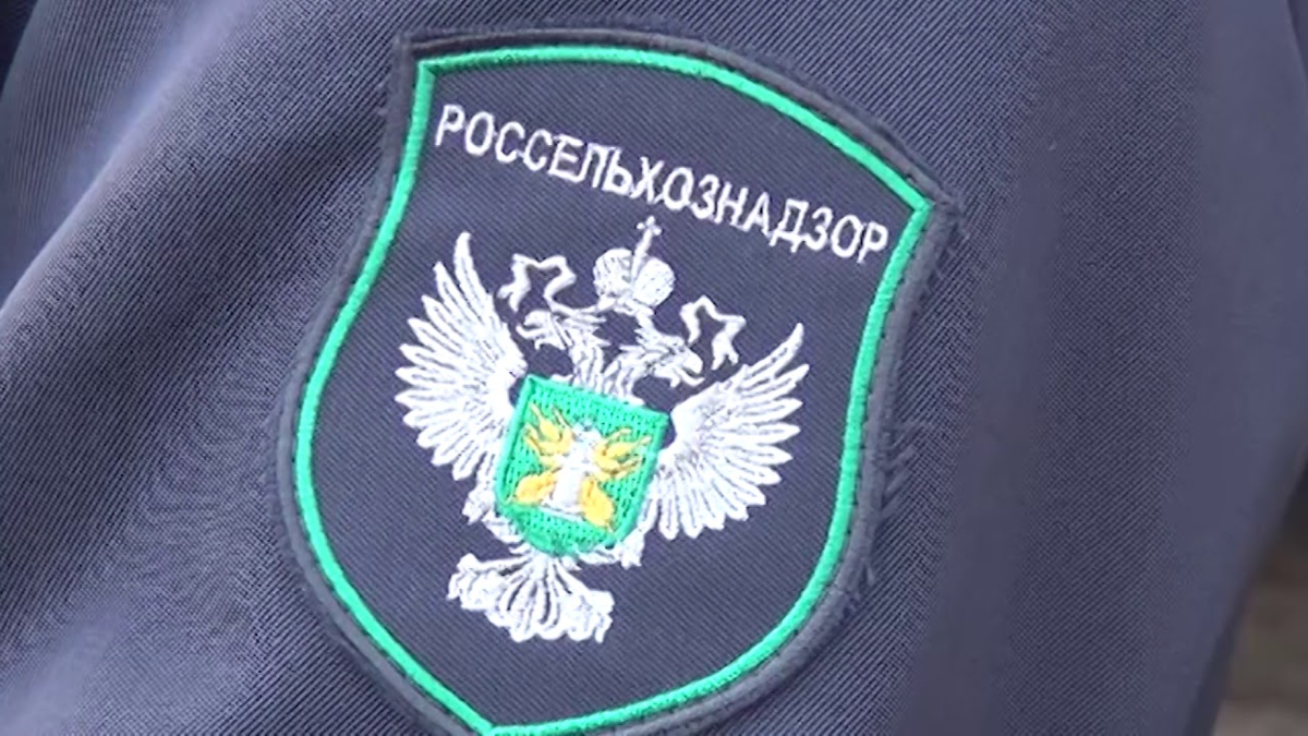 Россельхознадзор импорт. Импорт товаров. Таможенный осмотр товаров и транспортных средств. Россельхознадзор импорт. Россельхознадзор импорт.