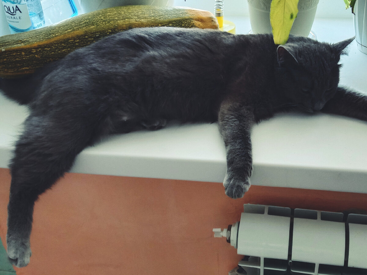 Не могли нормальные подоконники сделать