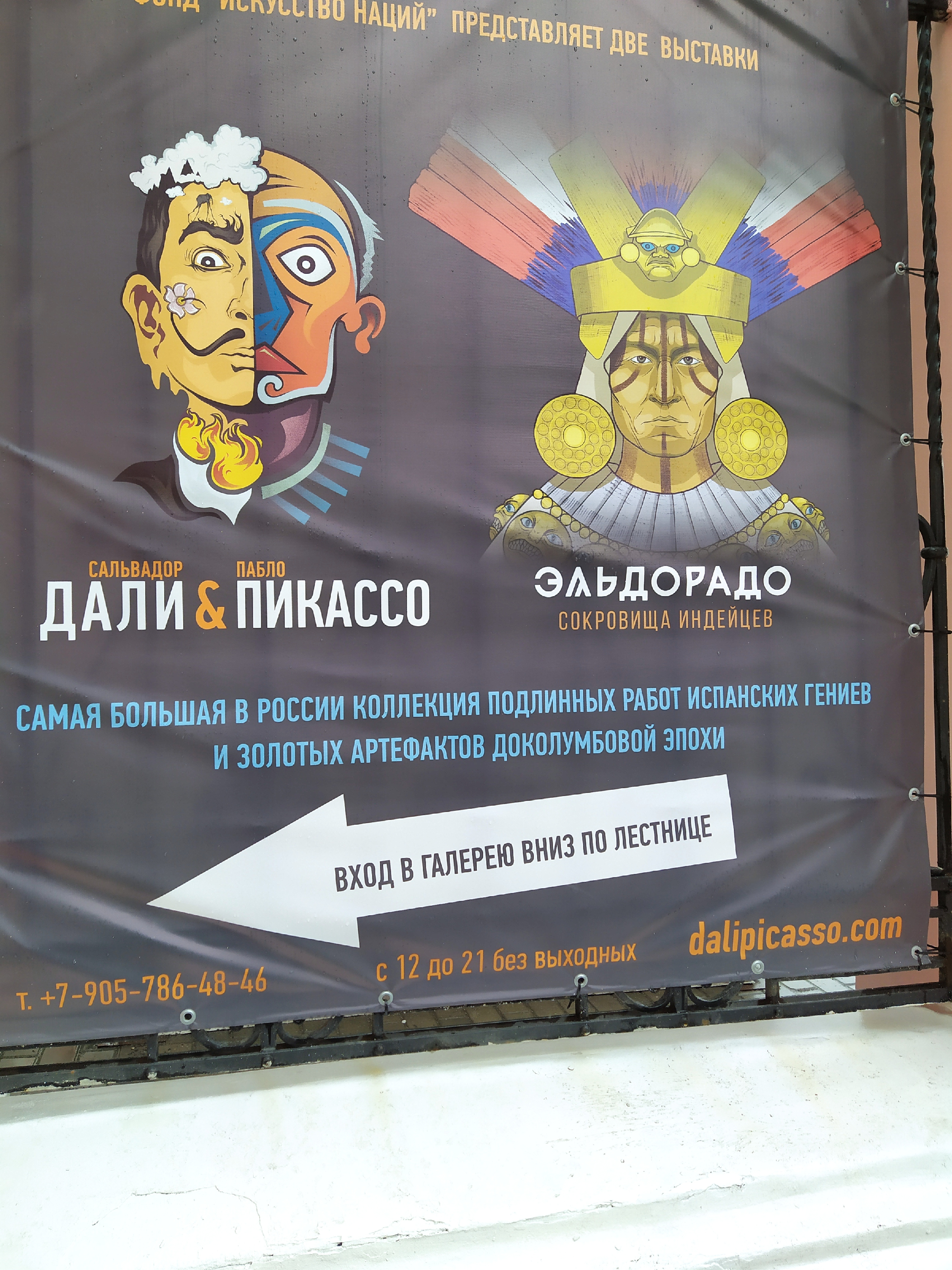 Посетили выставки 