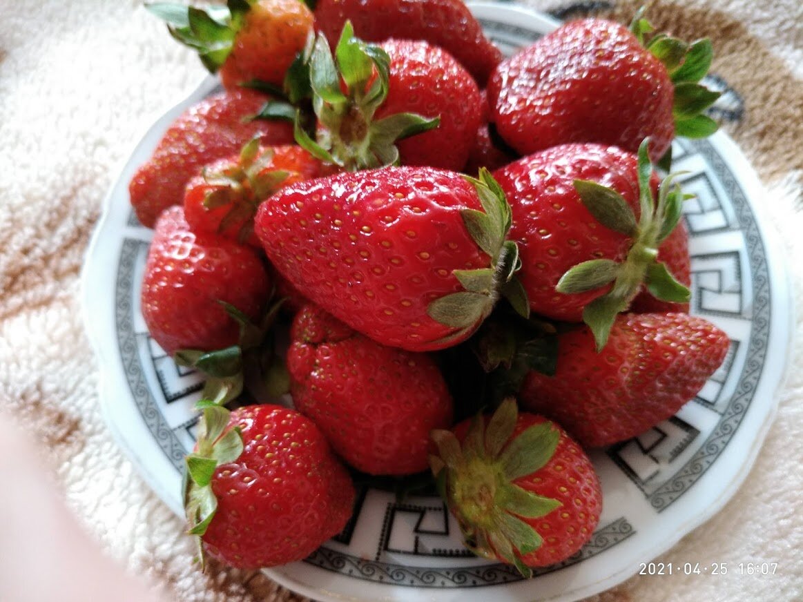 Фото автора.