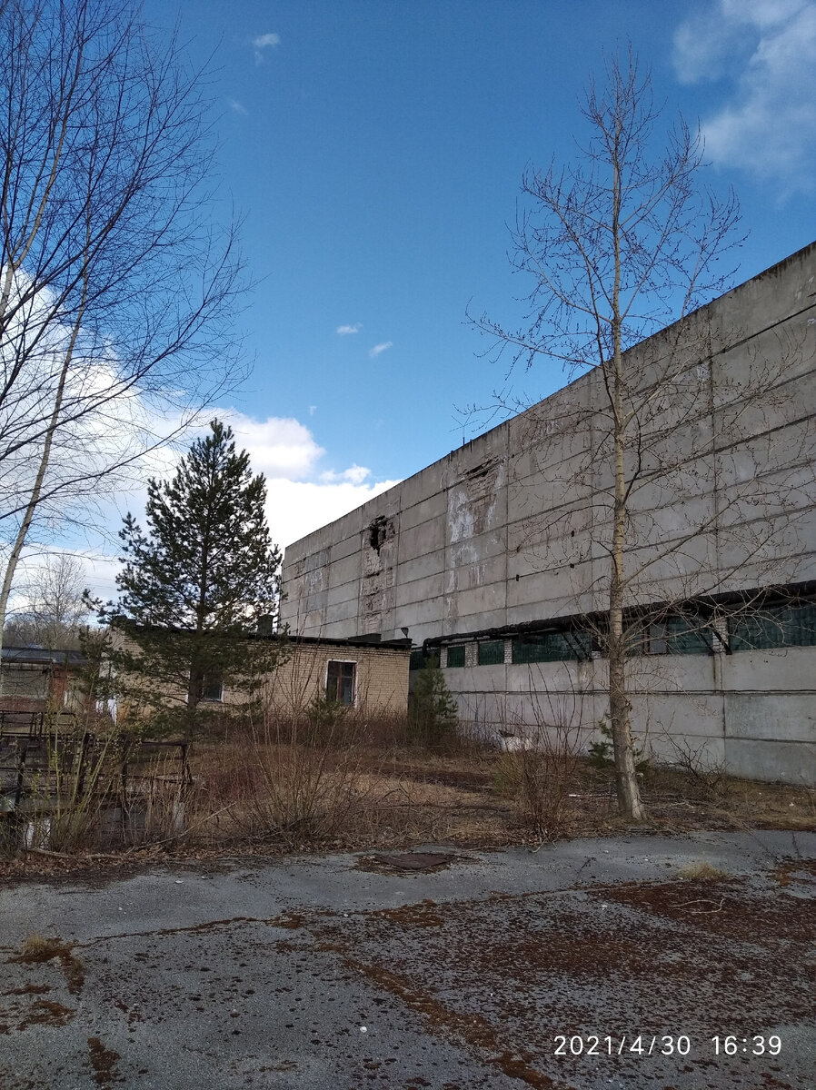 Постапокалипсис