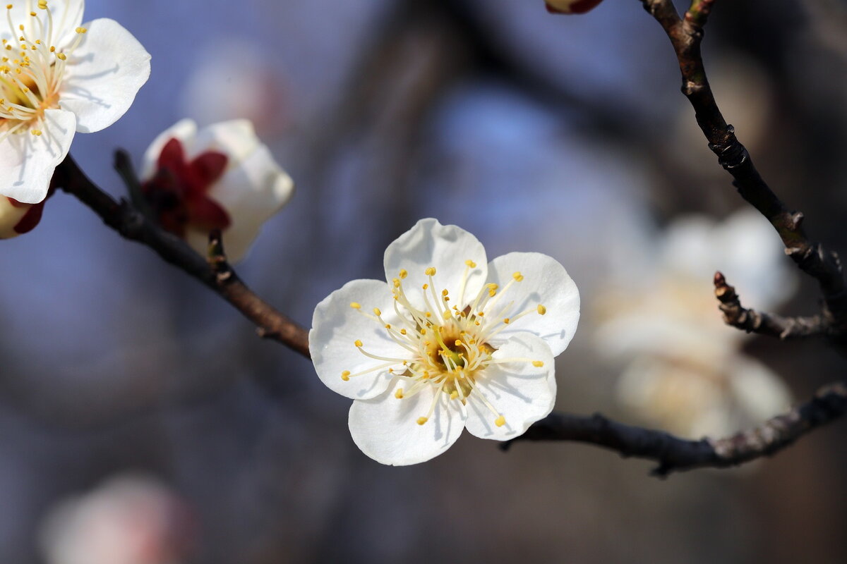 HeungSoon /https://pixabay.com/ 