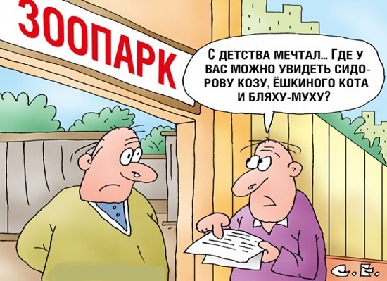 Изображение из открытых источников 