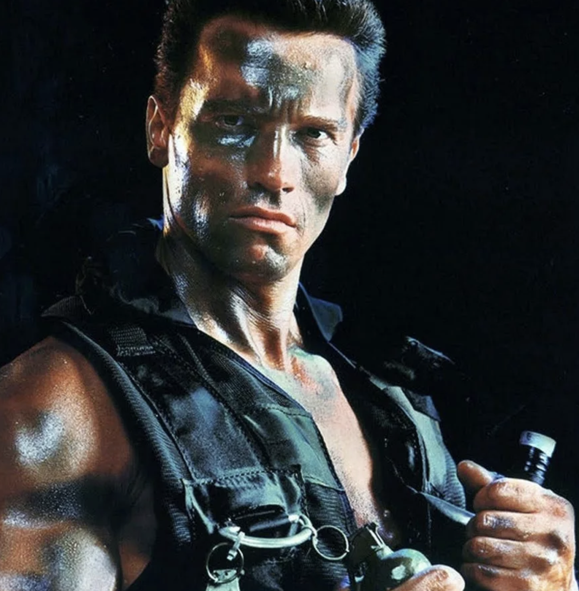 Арнольд Шварценеггер и единоборства