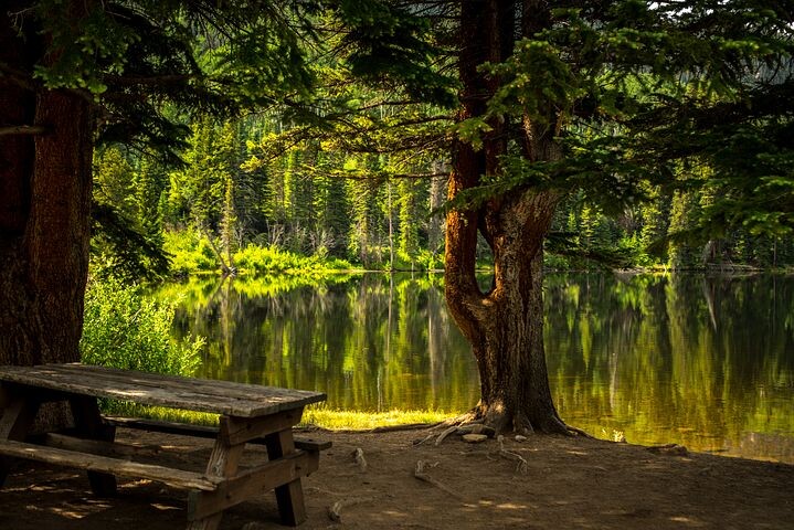 https://pixabay.com/ru/photos/%D1%81%D0%BA%D0%B0%D0%BC%D1%8C%D1%8F-%D0%BE%D0%B7%D0%B5%D1%80%D0%BE-%D0%BF%D0%B0%D1%80%D0%BA-%D0%B7%D0%BE%D0%BD%D0%B0-%D0%BE%D1%82%D0%B4%D1%8B%D1%85%D0%B0-2178847/