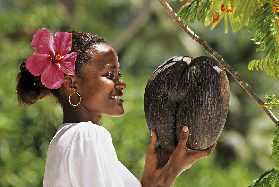 Так выглядит орех, очищенный от кожуры. Фото: из открытых Интернет-источников