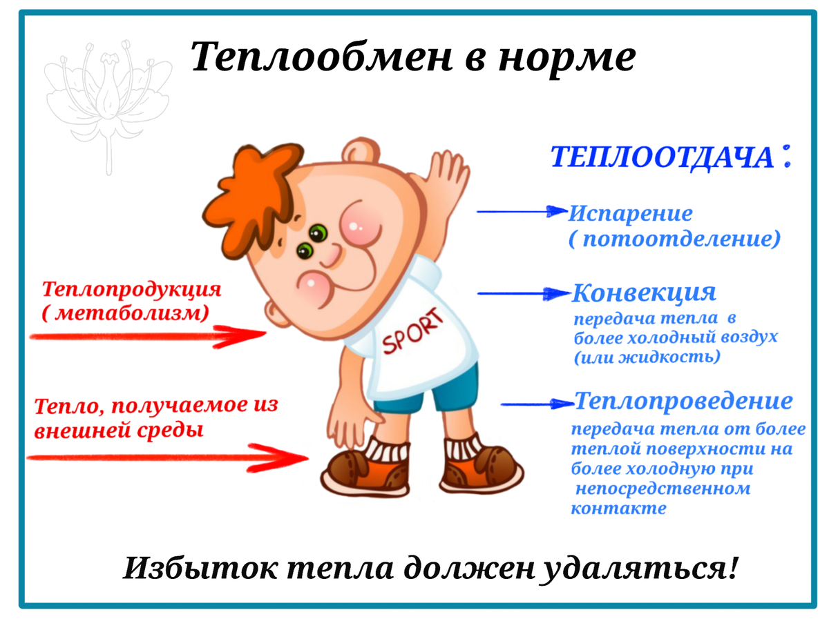 Теплообмен в норме.