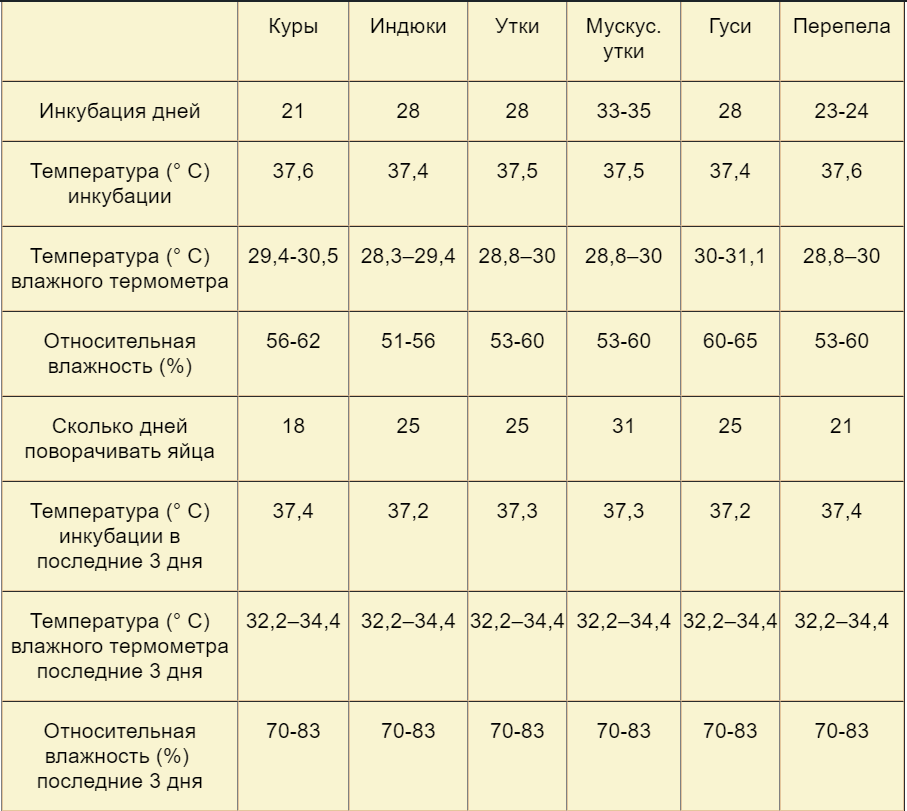 Температура в инкубаторе для куриных. Таблица инкубации. Температура инкубации куриных яиц. Влажность при закладке яиц в инкубатор. Таблица инкубации куриных яиц в инкубаторе.