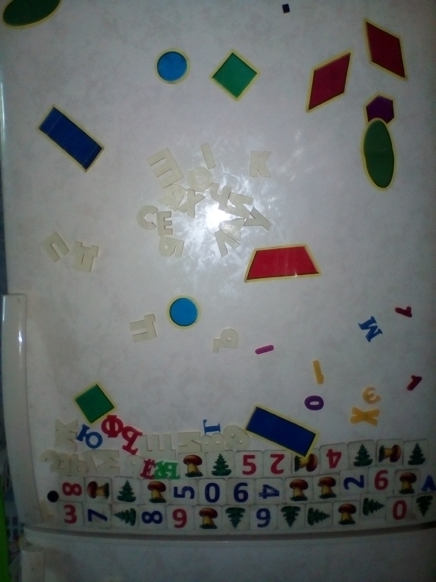 Так выглядит мой холодильник, пока в доме маыши