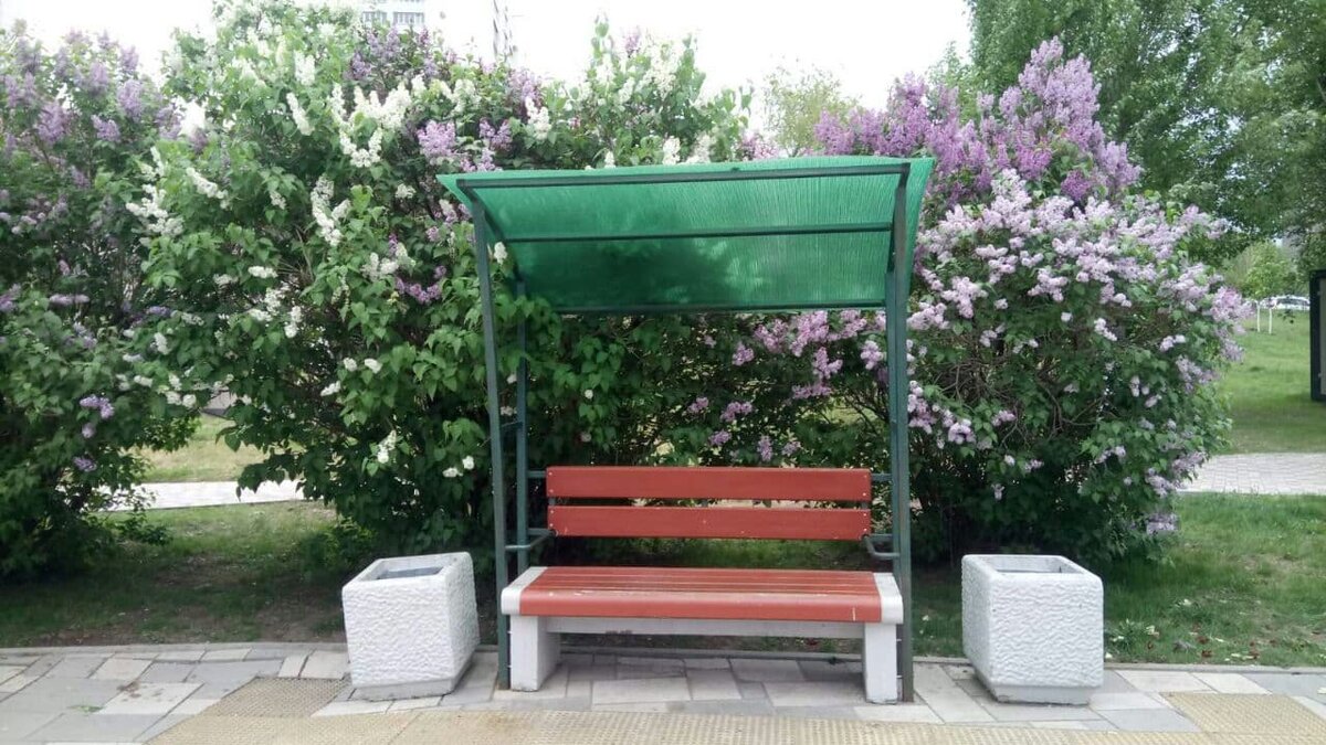 Фото автора.