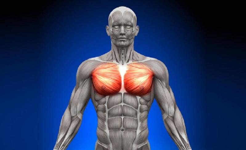 Источник фото: https://fb.ru/media/i/3/9/9/6/6/6/i/399666.jpg