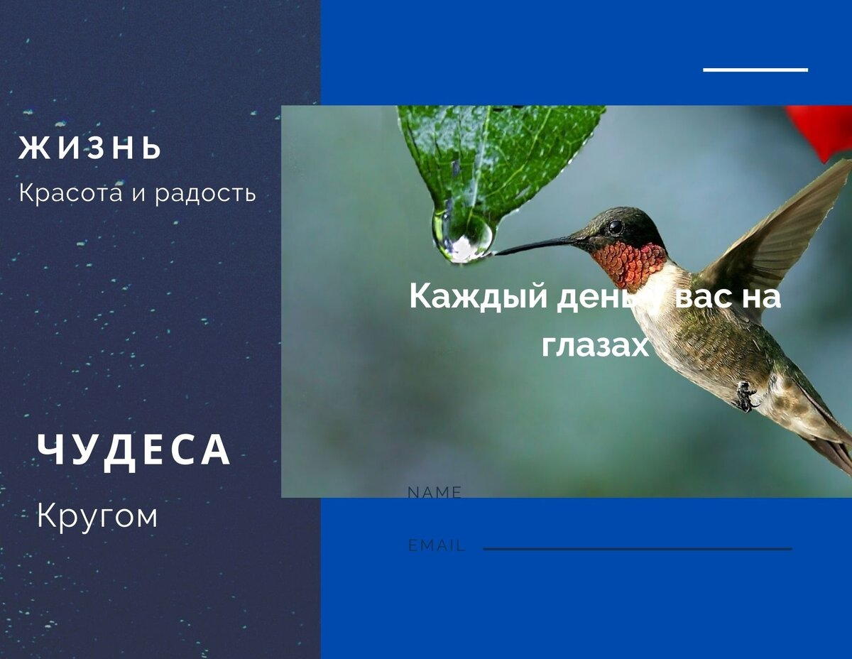 Наслаждайся пока...