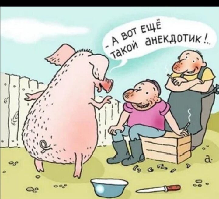 Яндекс картинки