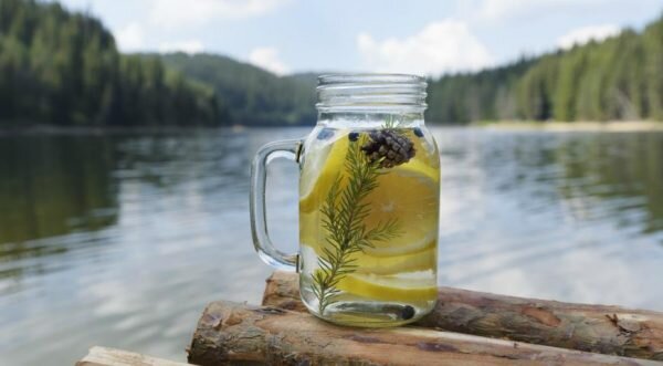  Лимонный лимонад. Фото gastronom.ru[/caption]