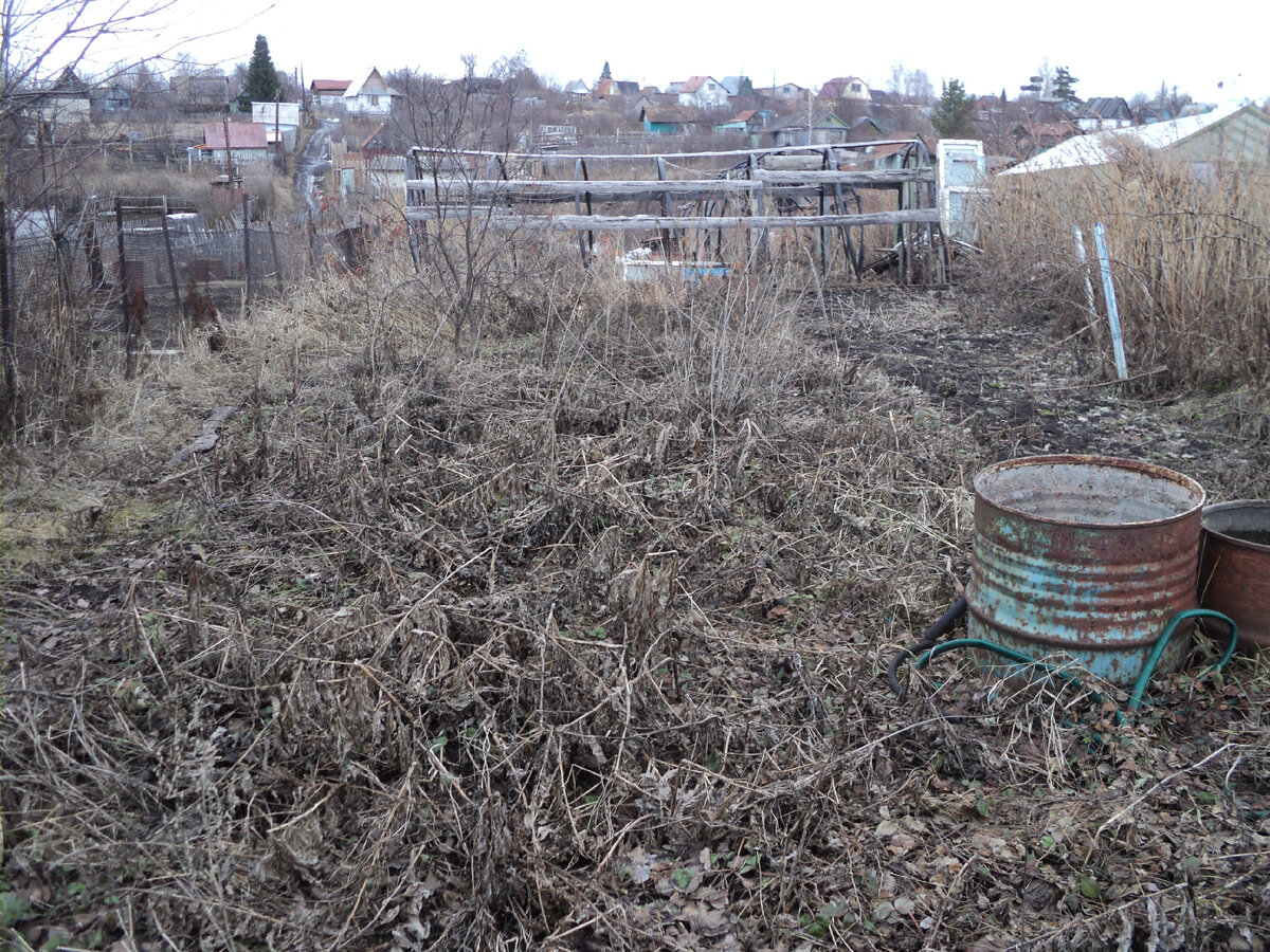 Так выглядел участок когда я его только пришла смотреть.