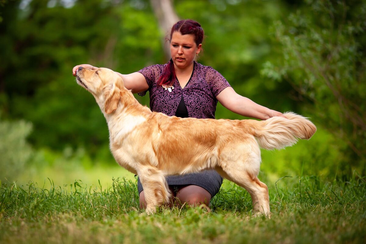 На фото наша Бетти, ставшая Чемпионом России на этой выставке
