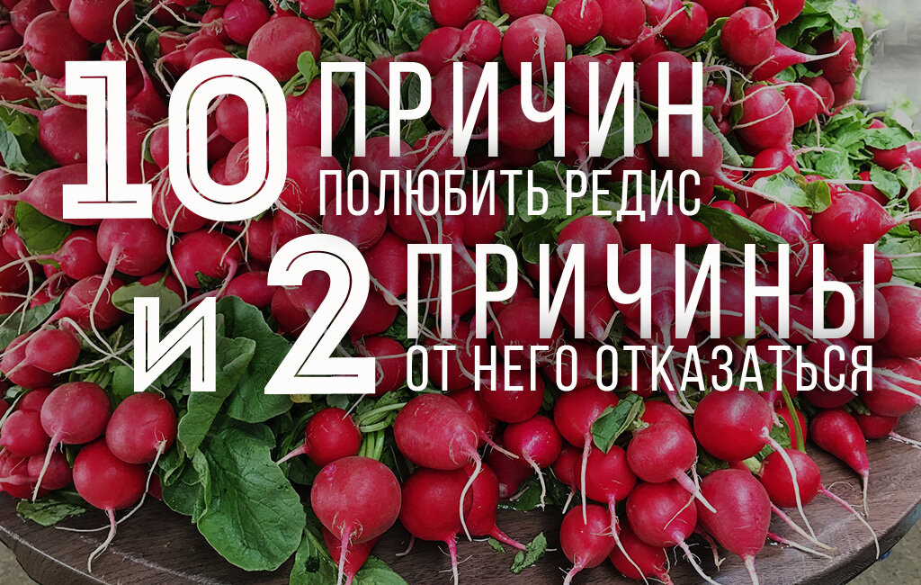 Редис калории. Редис калорийность. Редиска калорийность. Редис калорийность в 1 штуке