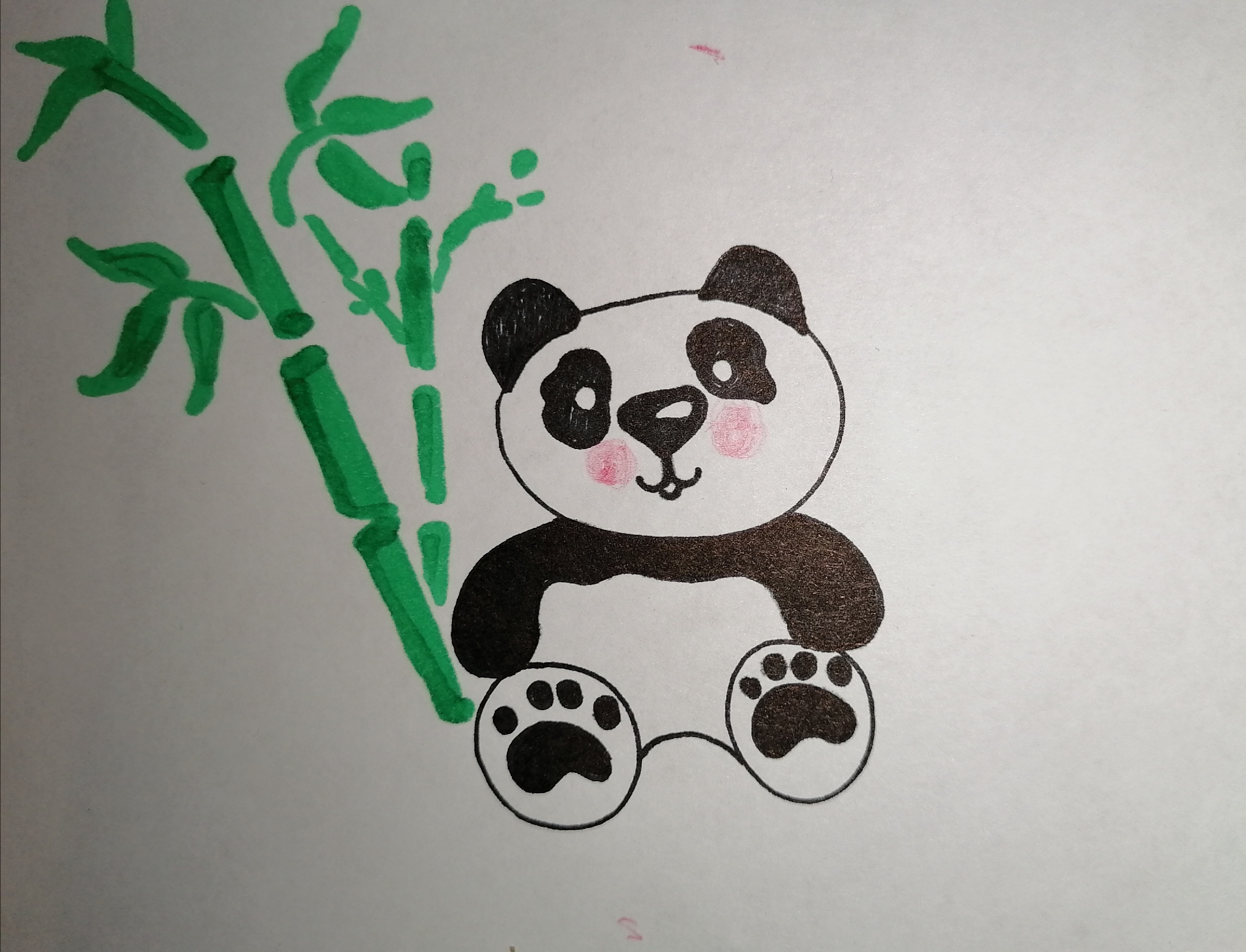 Как нарисовать панду поэтапно 12 уроков