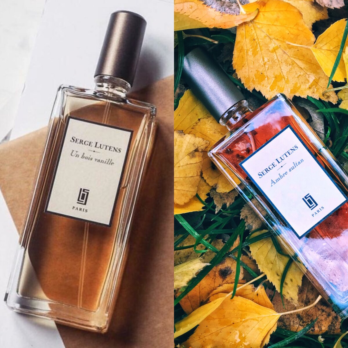 Духи на осень женские. Уютные картинки. Elizabeth arden blossom. Теплые запахи. Аромат осени.