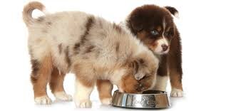 правильное питание важно с первых дней