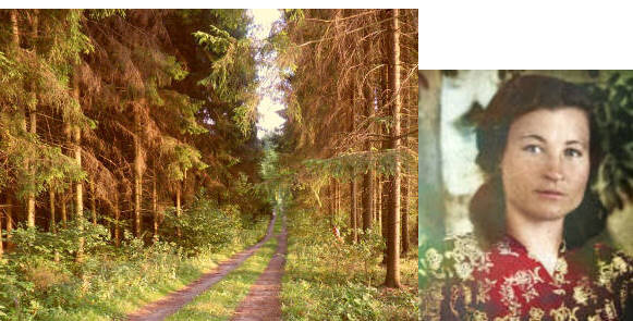 Фото коллаж автора.