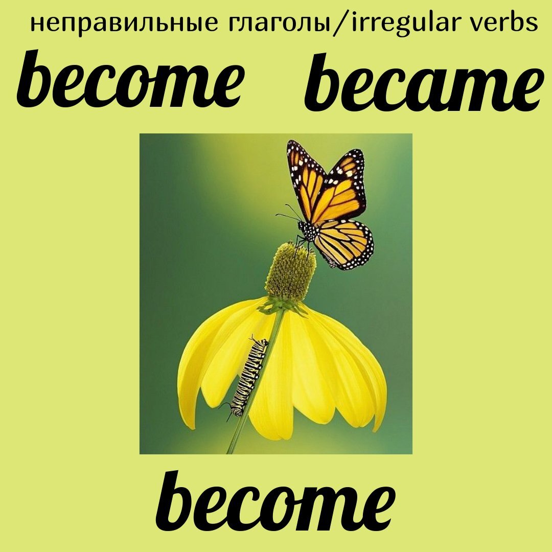 a caterpillar becomes a butterfly 🦋гусеница превращается в бабочку