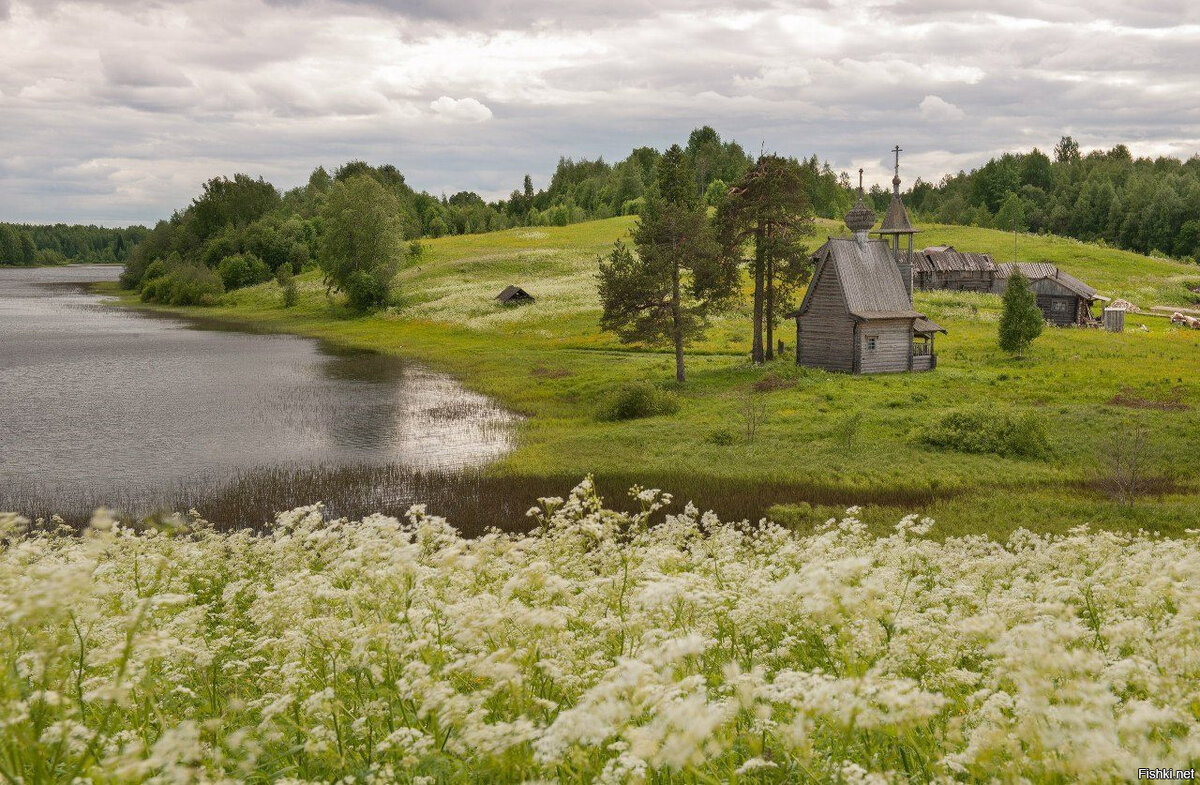 Архангельская область