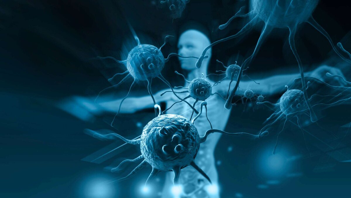 Фото взято из открытых источников интернет