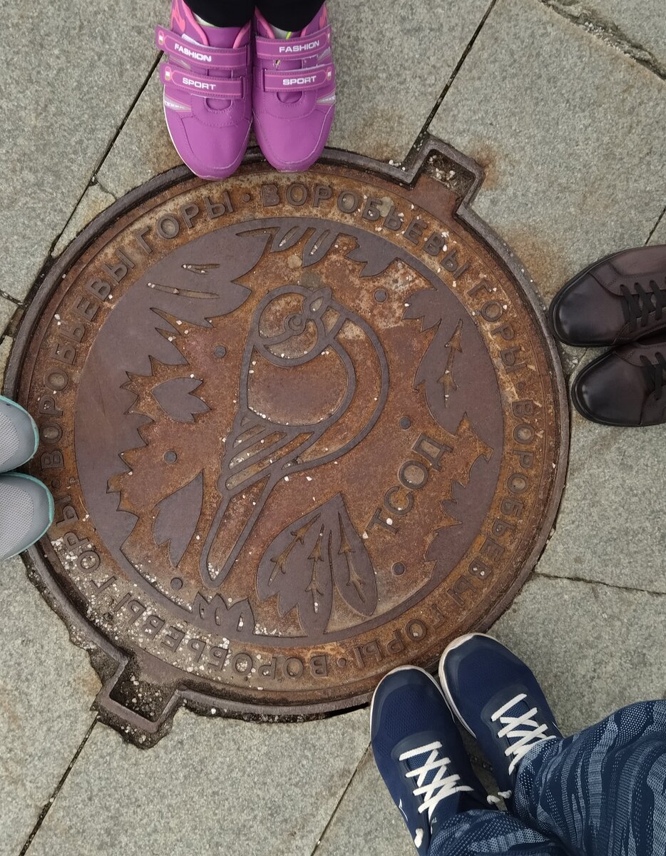 Воробьëвы горы. Наша прогулка. 