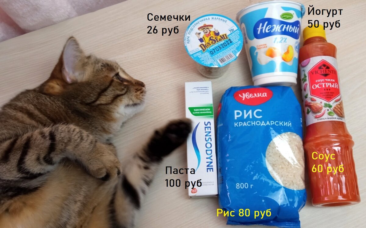 Тимыч помогает