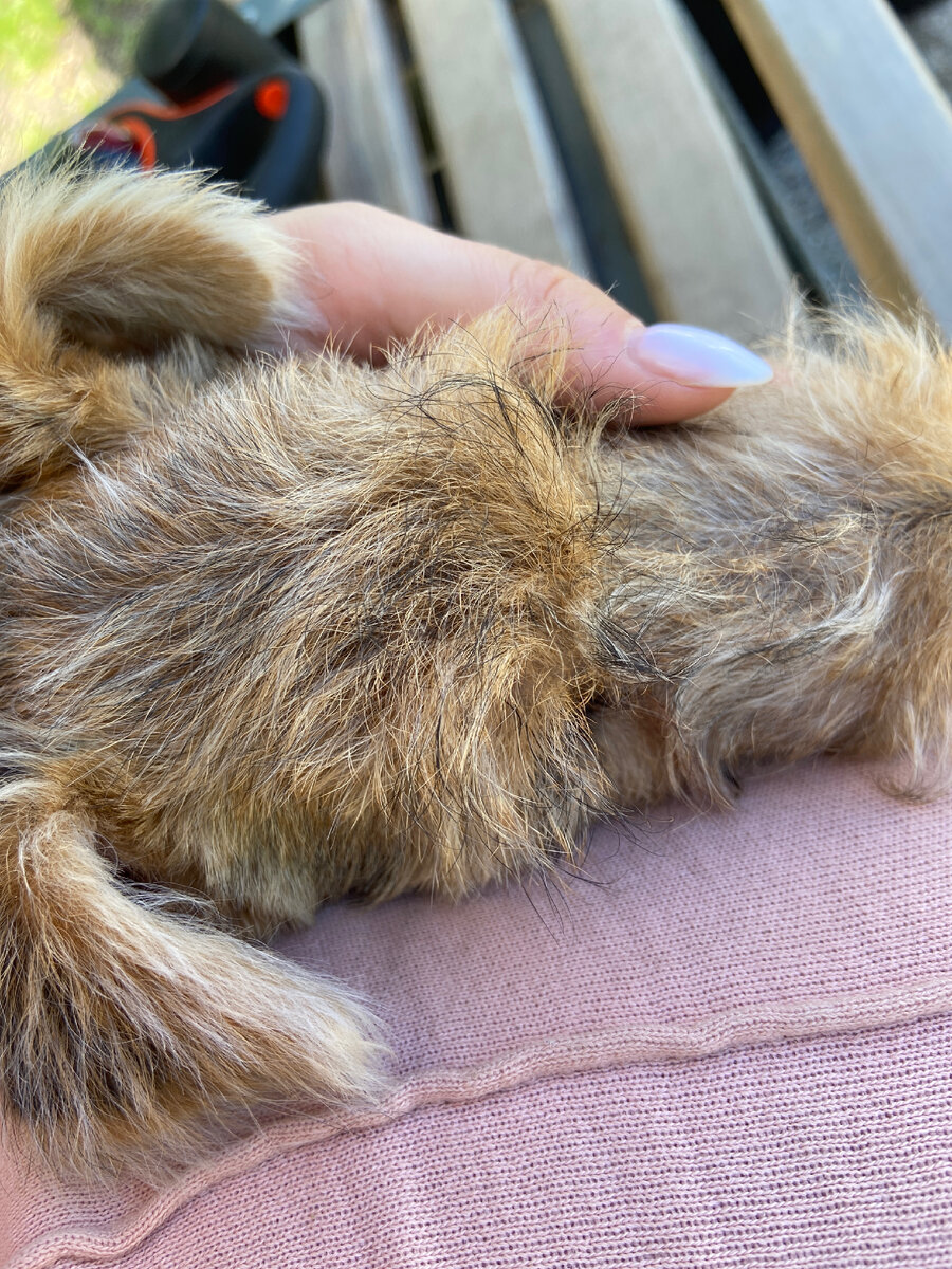 Малышка любящая прикосновение рук 