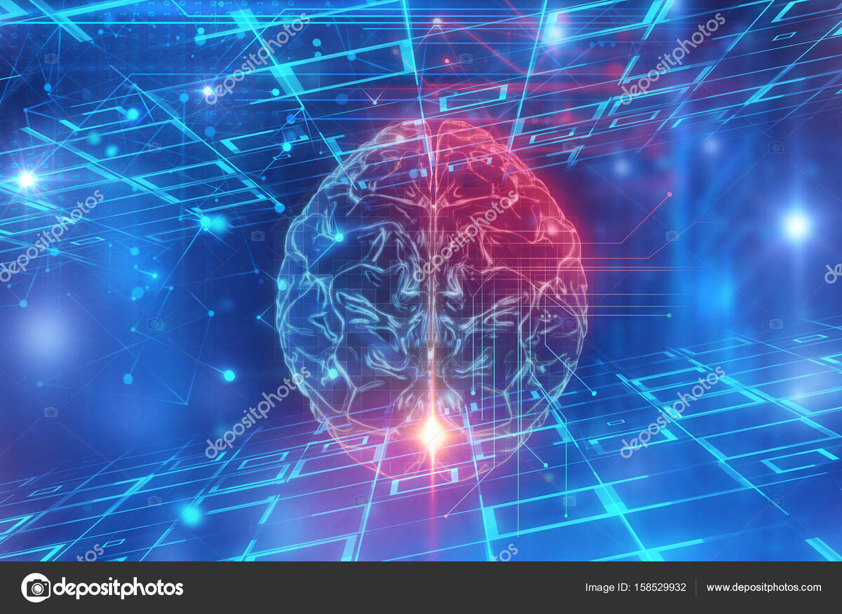 Коллаж из интернета: https://st3.depositphotos.com/10325396/15852/i/1600/depositphotos_158529932-stock-photo-3d-rendering-of-human-brain.jpg