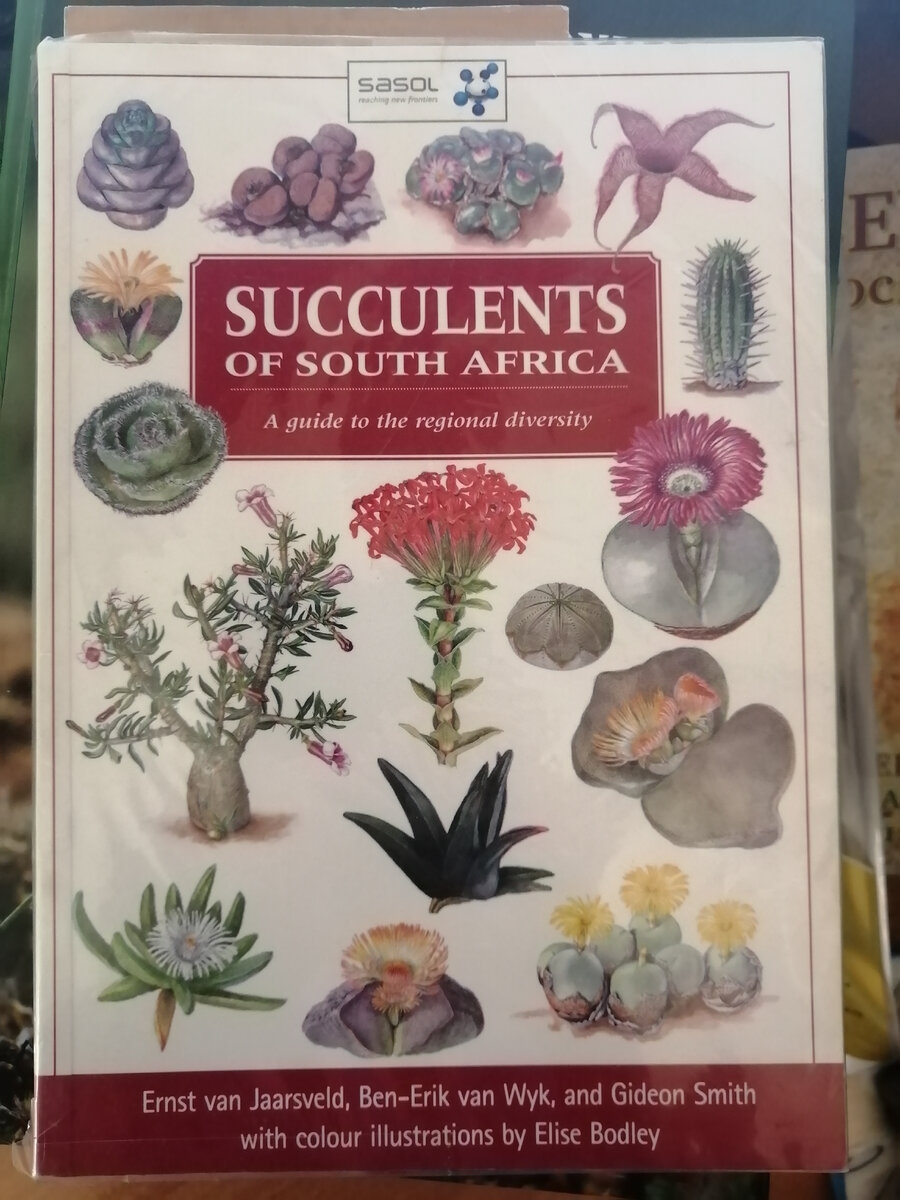 Суккуленты Южной Африки. Перевод книги южноафриканских авторов. Часть 1. |  Зелёный Мир Чудесный | Дзен