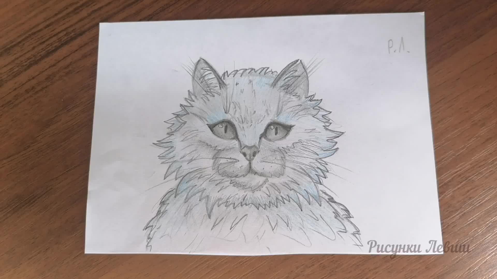 Как легко нарисовать кота. Пошаговое рисование | Рисунки Левши | Дзен
