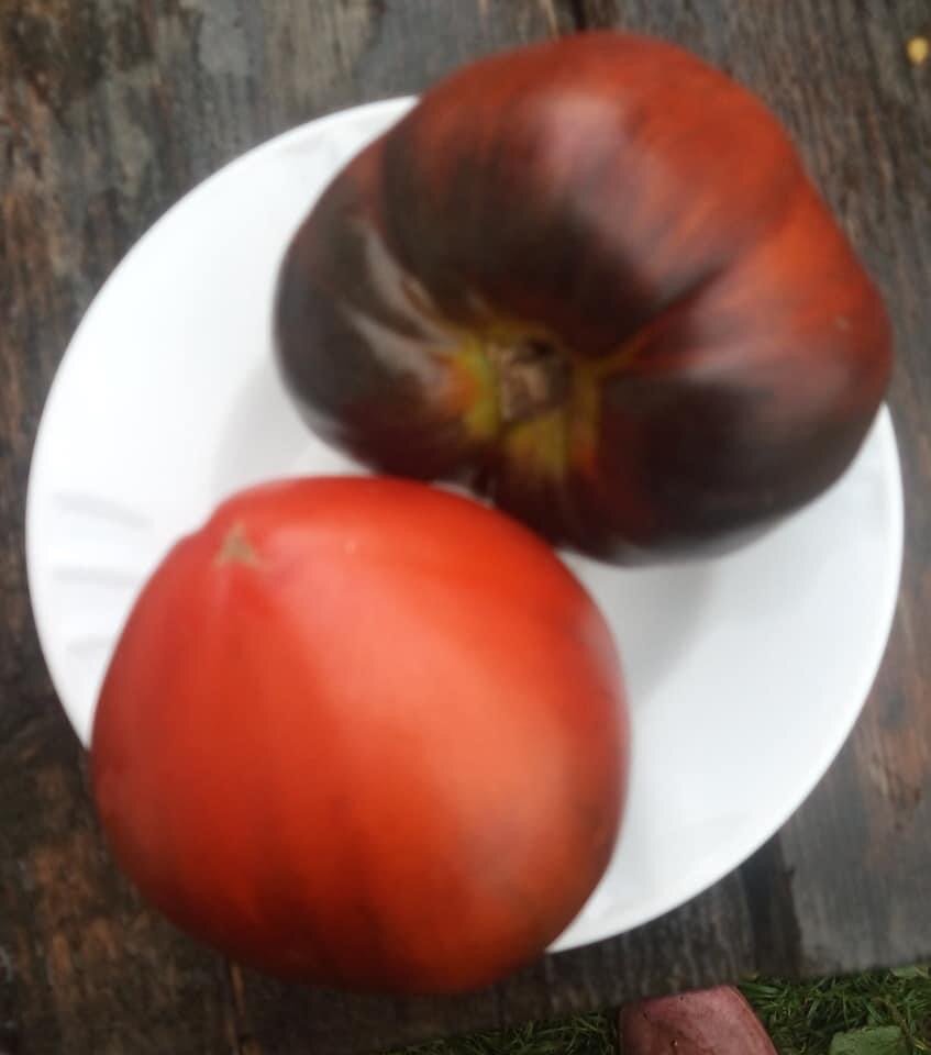 СЕРЖАНТ ПЕППЕР бронза 