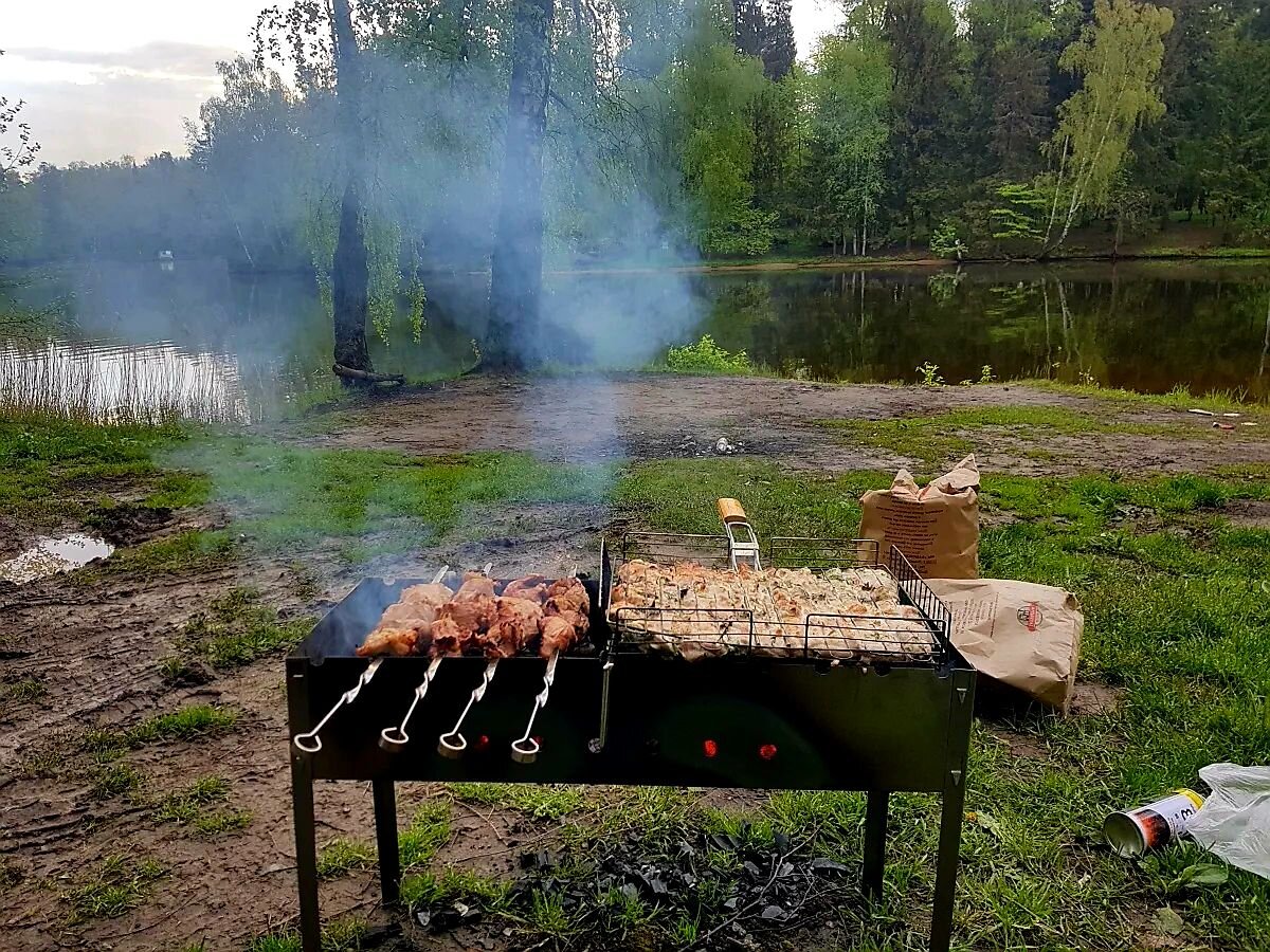 Баня шашлык картинки