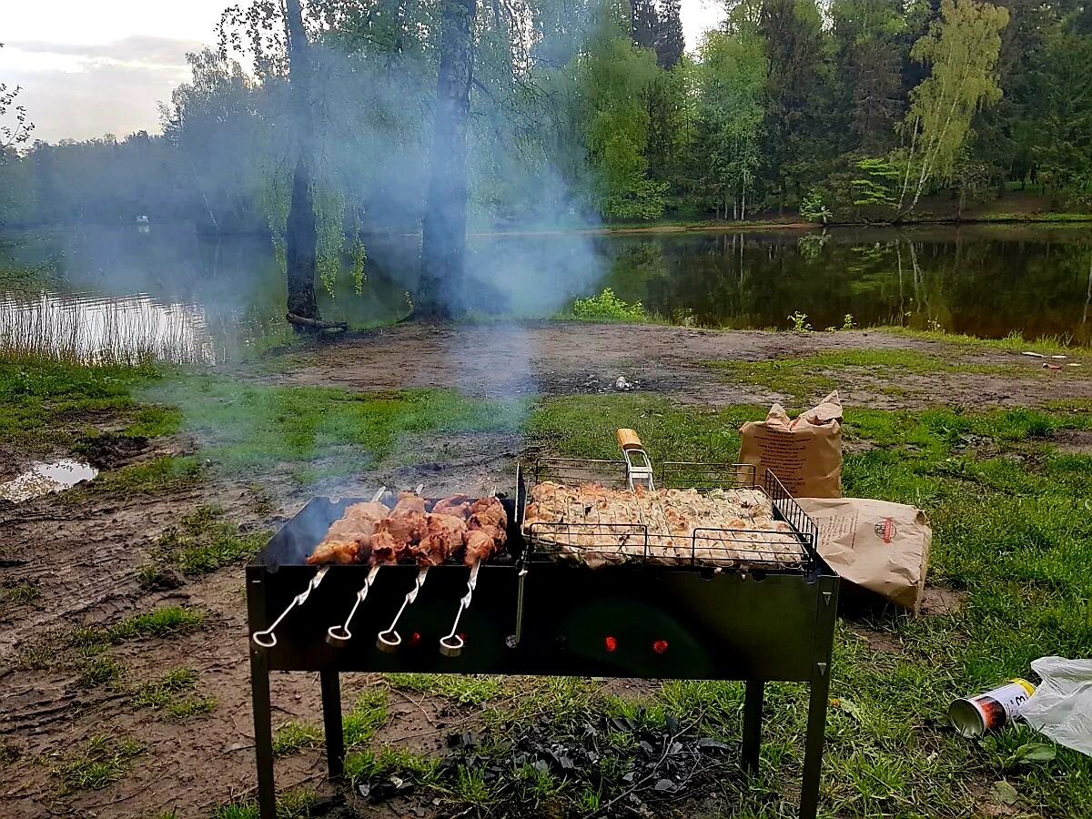 Картинка отдых на природе с шашлыками