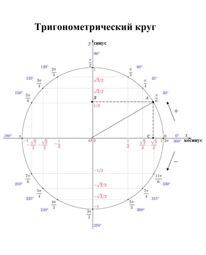 Координаты круга. Единичная окружность со значениями синусов. Тригонометрический круг синус. Тригонометрический круг ось синусов. Тригонометрический круг -3п п.
