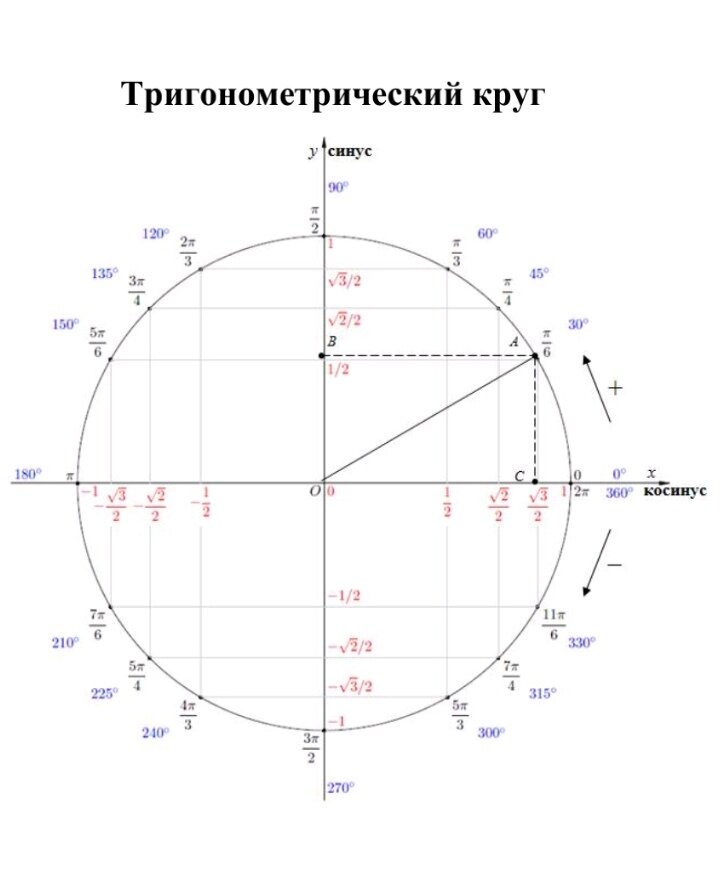 Синус 2 5 угол. Единичная окружность со значениями синусов. Тригонометрический круг синус. Тригонометрический круг ось синусов. Тригонометрический круг -3п п.