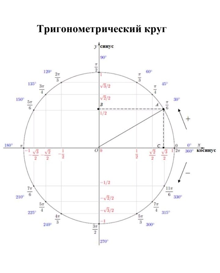 Система градусов. Единичная окружность со значениями синусов. Тригонометрический круг синус. Тригонометрический круг ось синусов. Тригонометрический круг -3п п.