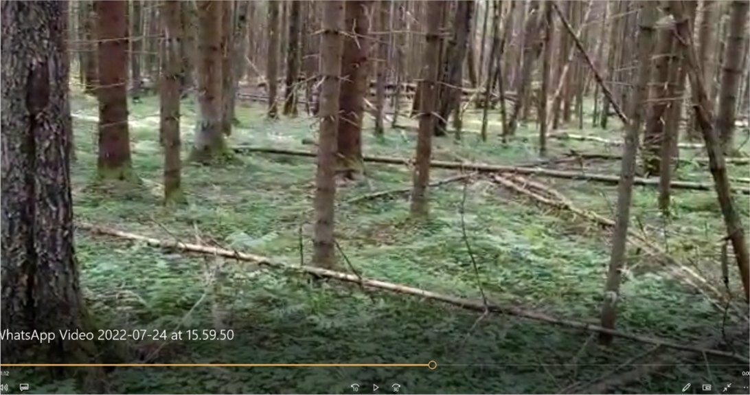 Вот эта местность. Кадр с видео