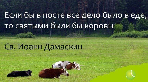 Фото из поисковой системы Яндекса
