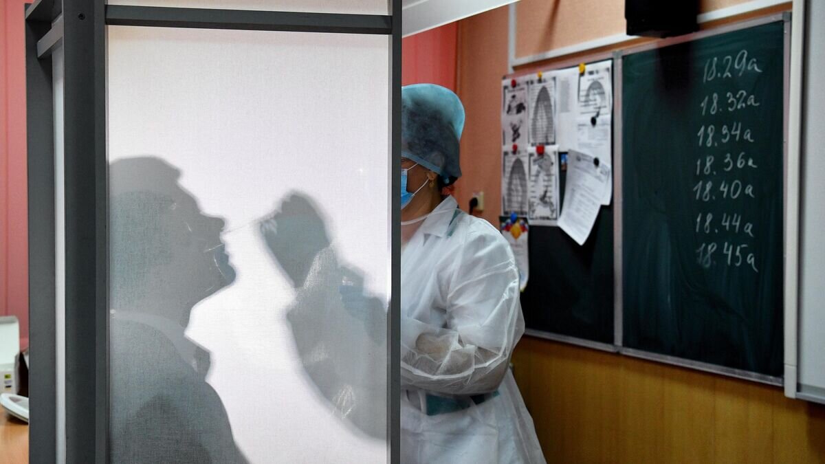    Экспресс-тестирование на COVID-19 старшеклассников Новосибирска© РИА Новости / Александр Кряжев