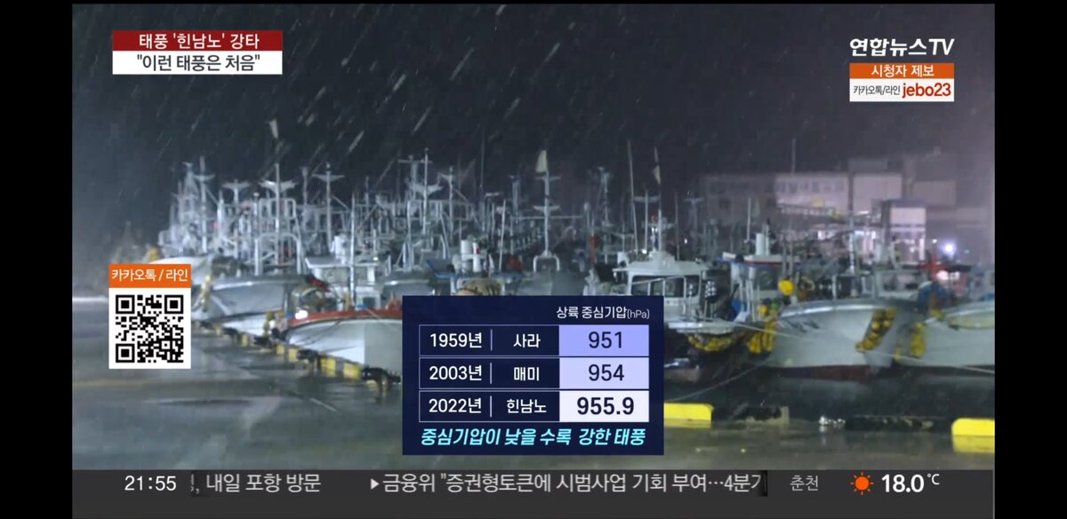 Скриншот из выпуска новостей 연합뉴스