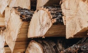    Фото: Hans Isaacson / unsplash.com Карина Романова