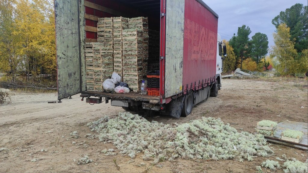    фото – страница Игоря Заборовского «Вк»