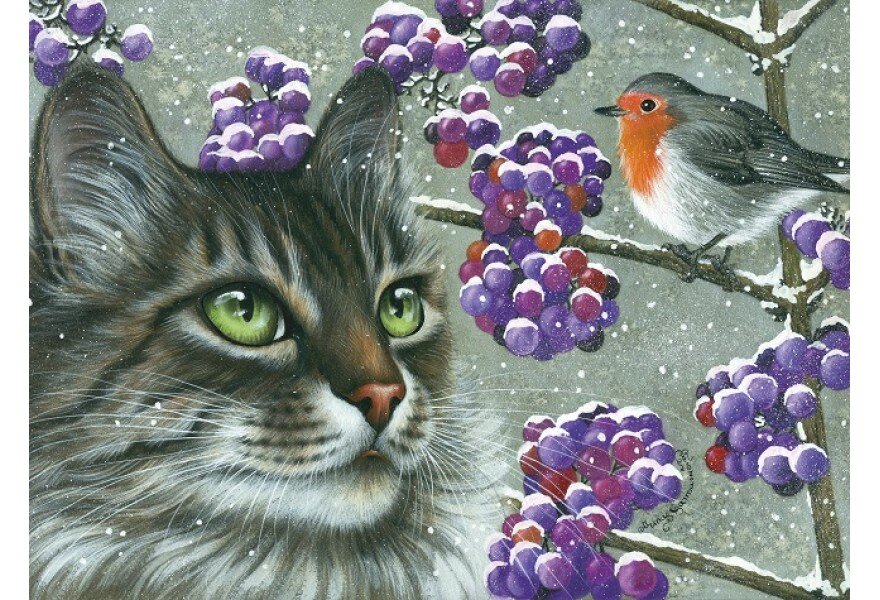 ��������������